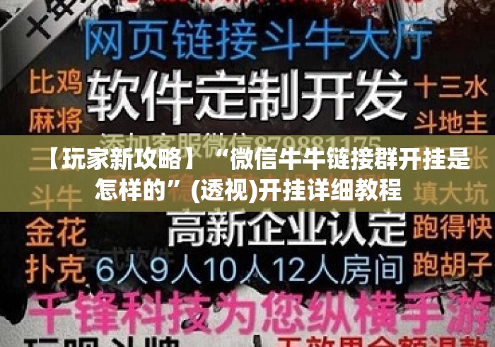 【玩家新攻略】“微信牛牛链接群开挂是怎样的”(透视)开挂详细教程