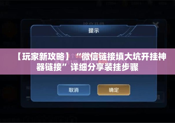 【玩家新攻略】“微信链接填大坑开挂神器链接”详细分享装挂步骤
